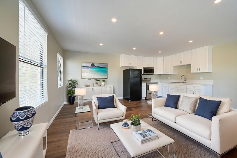 DSC 5515 6 7 8 9 - Living Room - Modern - 0